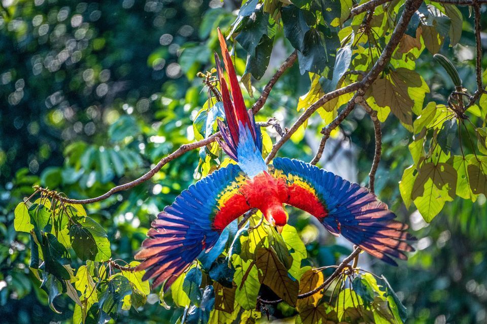 Завораживающая красота нашей планеты!