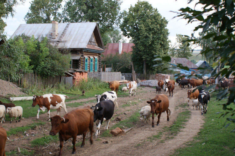 Вот так мы жили и дети были...