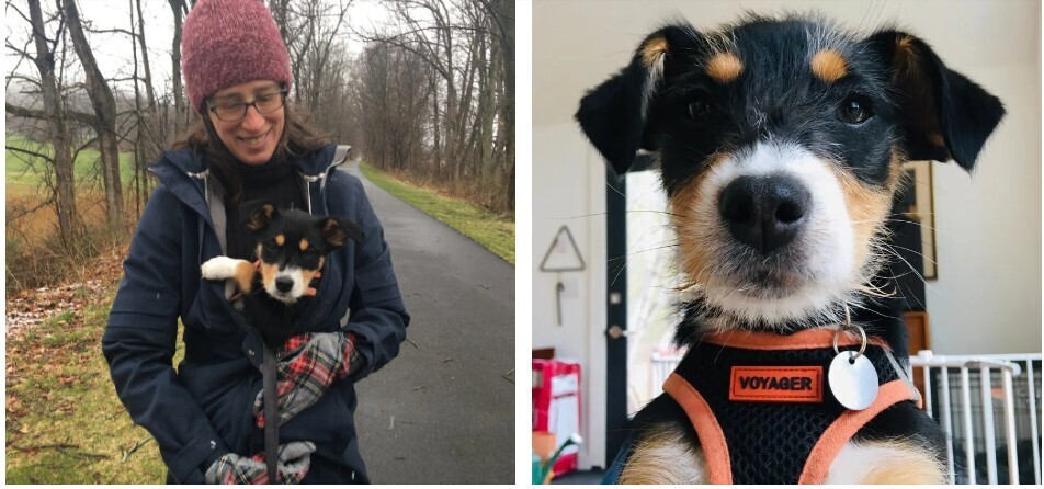 Принося домой немного "волосатой радости жизни" и делая заметки