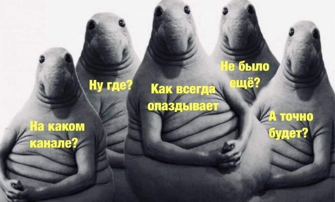 Бессонная ночь Запада.
