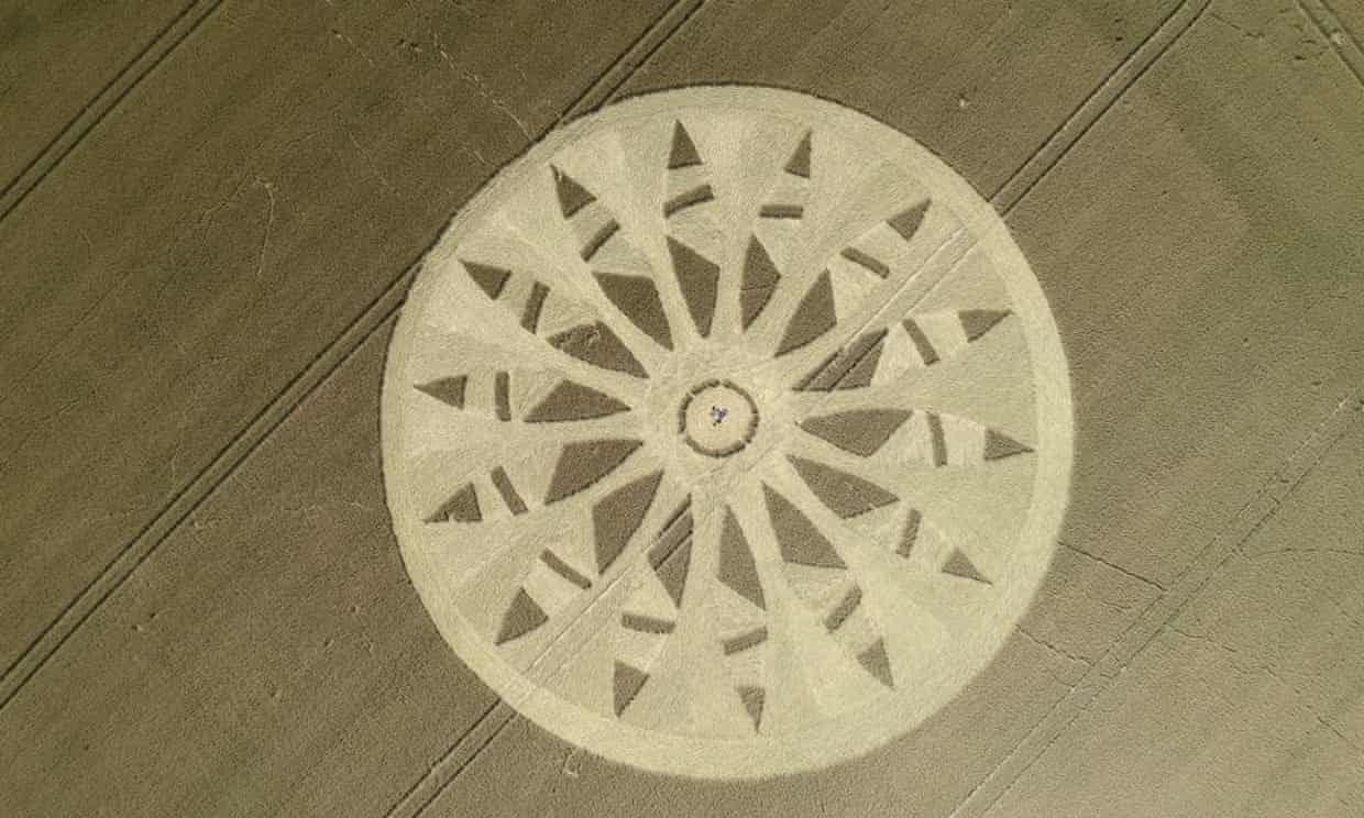 Нашествие похитителей ячменя: круги на полях стоили фермерам тысячи потерянных доходов