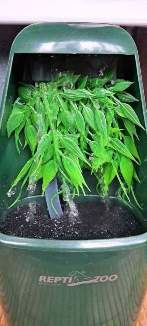 Поилка капельная Repti-zoo. Обзор