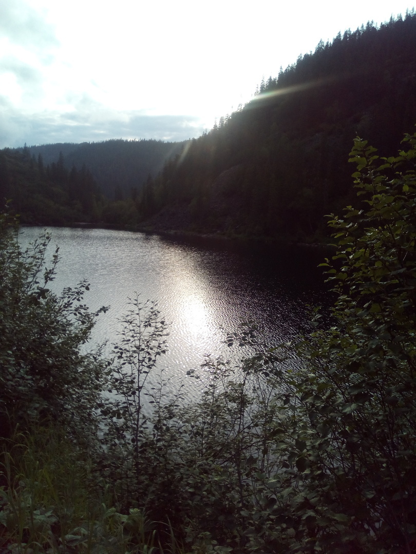 Как облака становятся причиной международных конфликтов. И почему американцам придётся отказаться от газонов