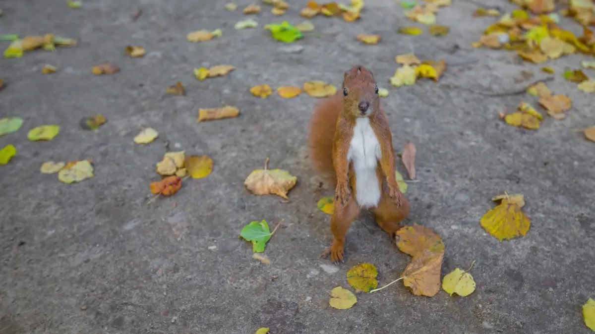 Церковные православные праздники 2023, календарь главных праздников: какой сегодня церковный праздник? Что можно делать 30 сентября 2022