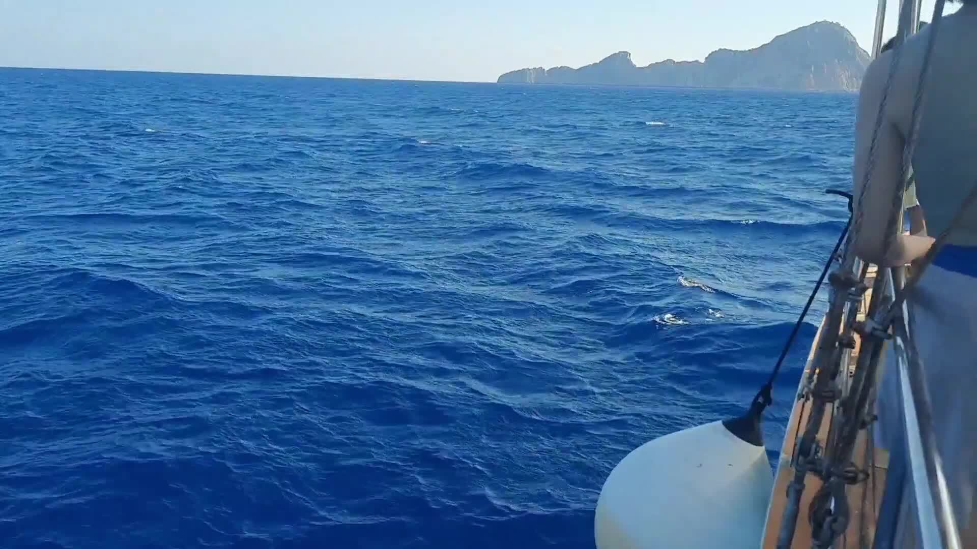 Море,море, край бездонный | Образ жизни | Таис, 29 сентября 2022