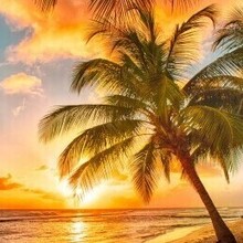 Сергей, г. Александров