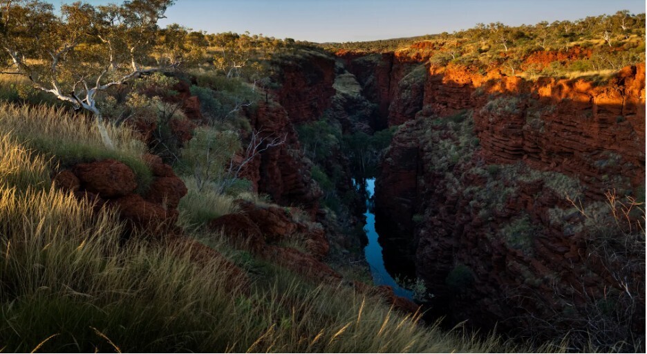 Последние дни захолустного городка, где каждый вдох может быть токсичным