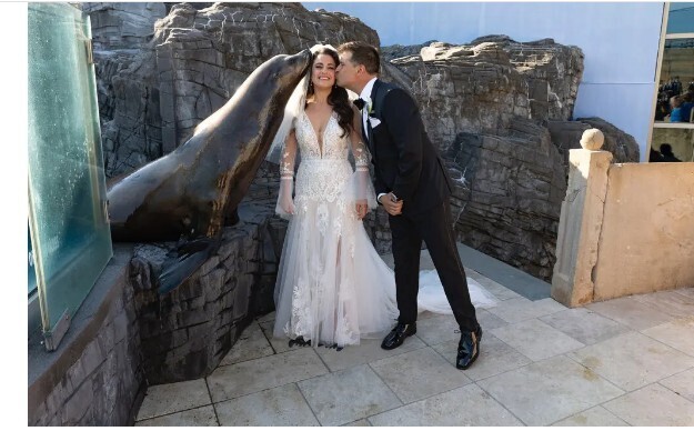 Поиск любви урывками