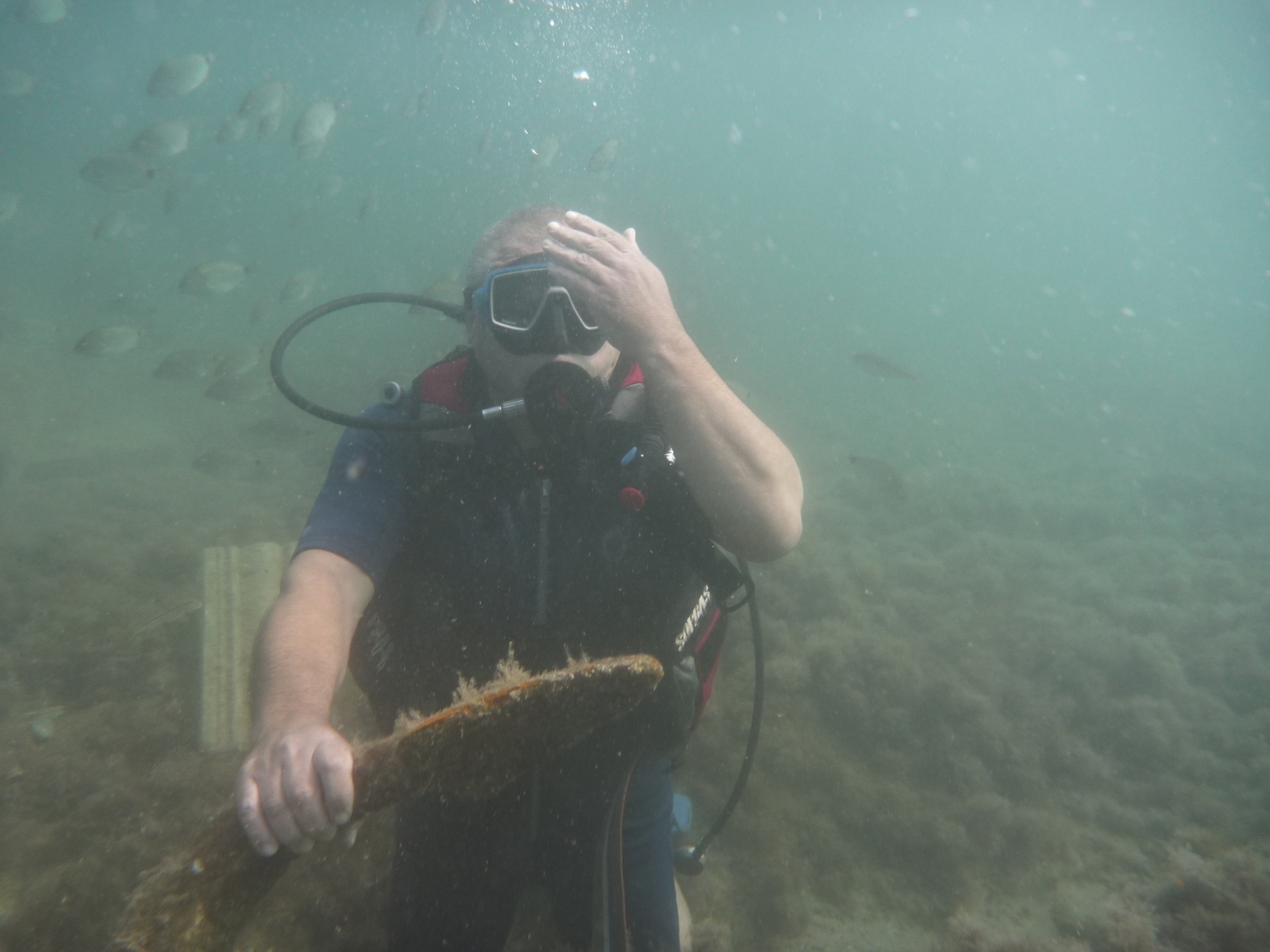 Дайвинг в кабардинке.