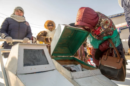 Удивительные факты о Крайнем Севере или современные коляски для детей оленеводов.