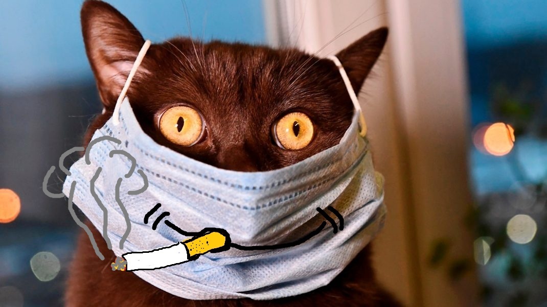 Хвостатый снова графоманит на тему современного искусства или несколько картинок от Арт группы 19:17