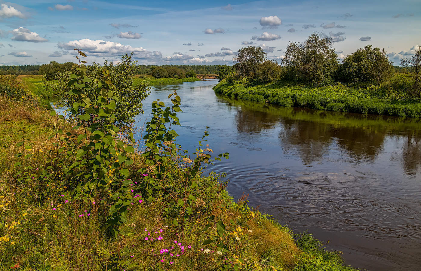 Река всегда течет. Река Клязьма Ногинск. Исток Клязьмы. Исток реки Клязьма. Река Клязьма в Клязьме.