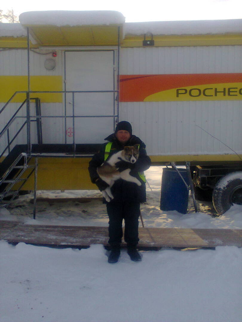 Охранник или лицензированный сторож, или куда пойти работать простому смертному?