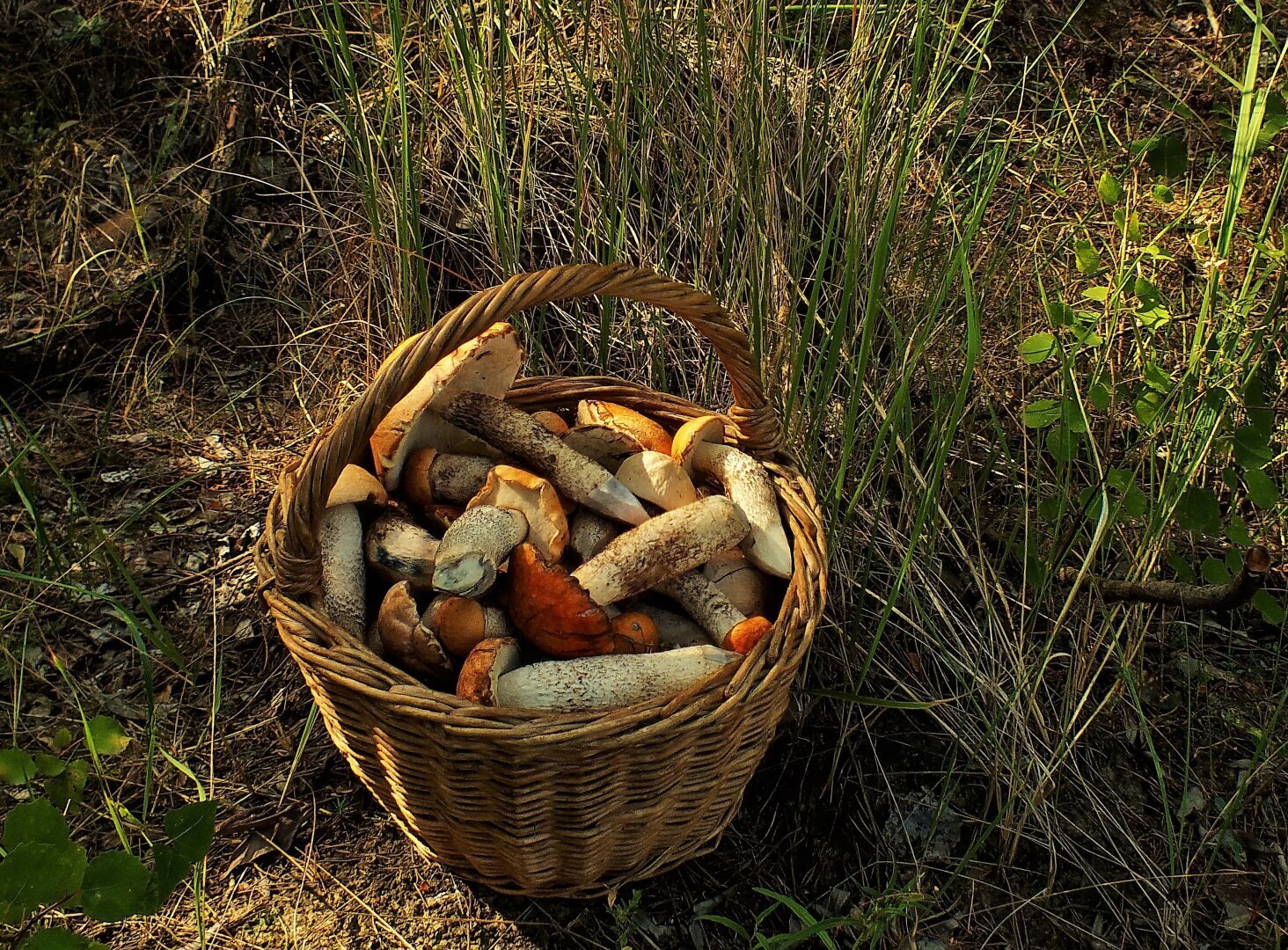 Она никогда не верила в вещие сны.