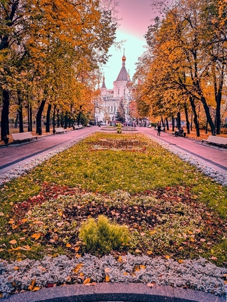 Она никогда не верила в вещие сны.