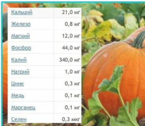 В чем польза тыквы