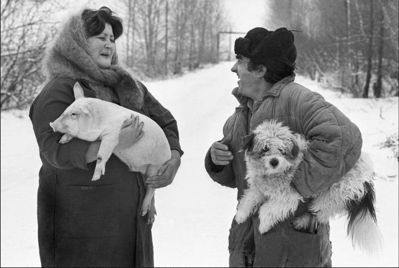 Архивное фото это что