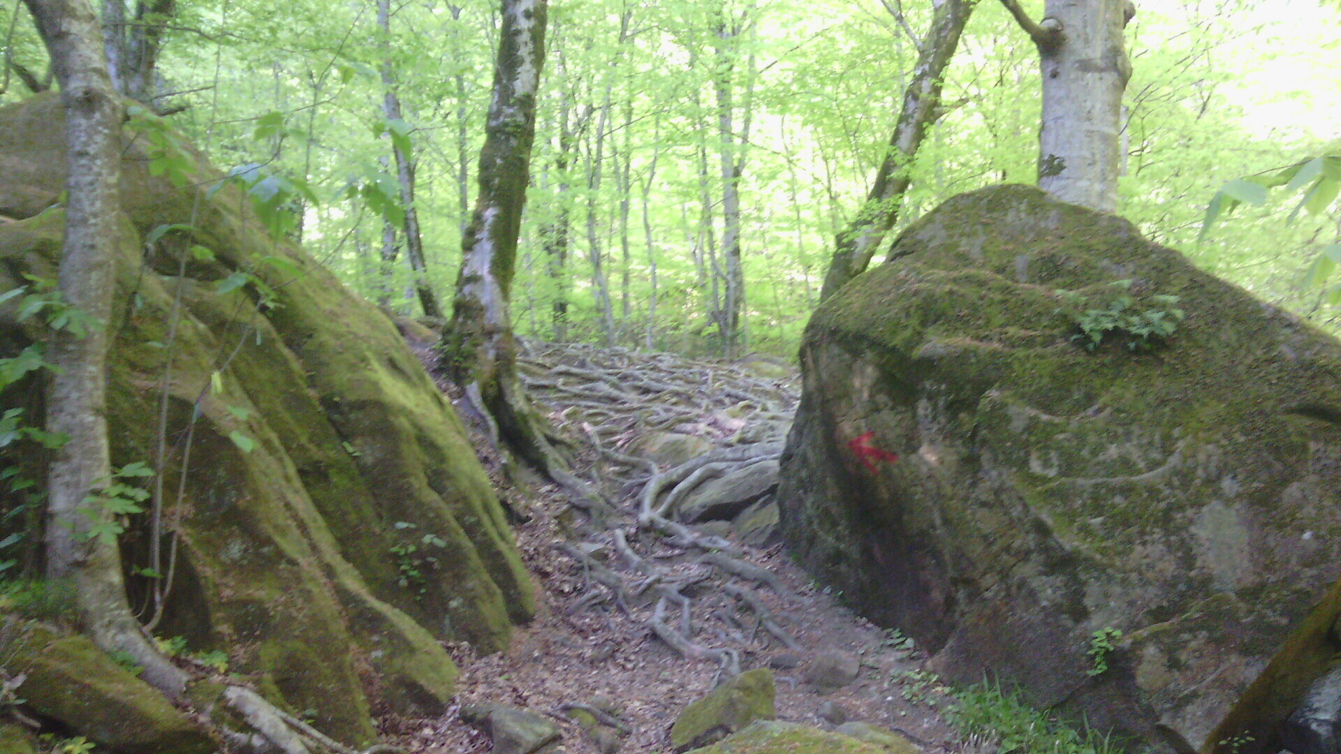 Волконский Дольмен, как часть древней истории Кавказского Причерноморья.