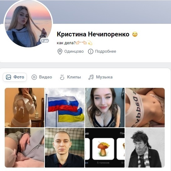 Глубина падения предателя: как подполковник ВДВ в отставке стал холуём НАТО