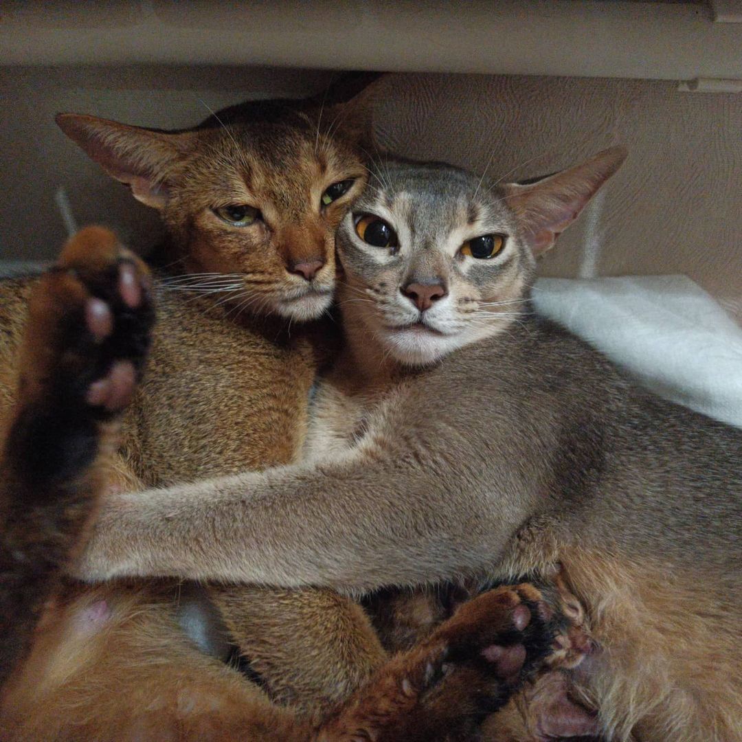 Насколько Вы действительно совместимы, расскажут не звезды.