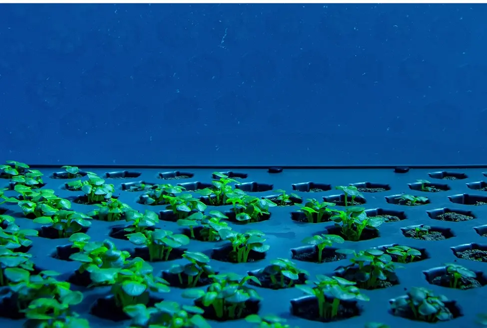 Как начать ферму под водой