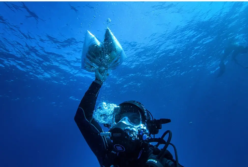 Как начать ферму под водой