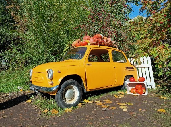 Малолитражка ЗАЗ 965 в кино и жизни