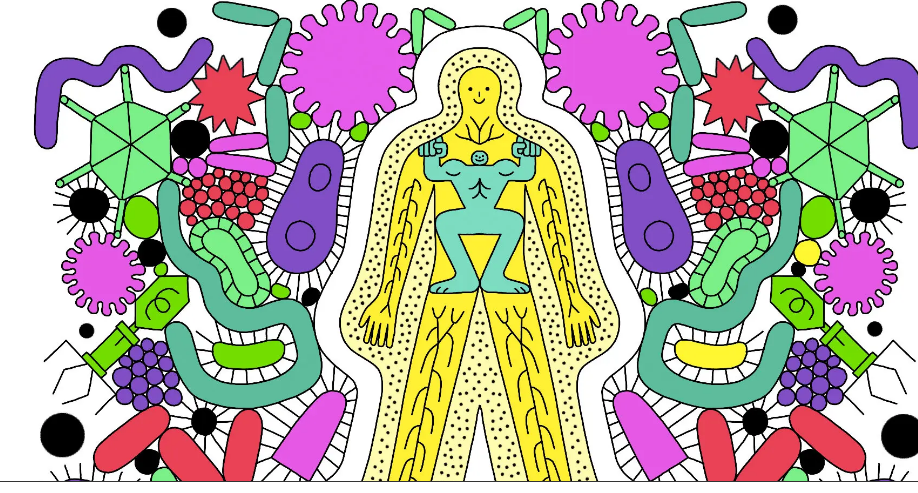 Как укрепить свою иммунную систему в сезон простуды и гриппа