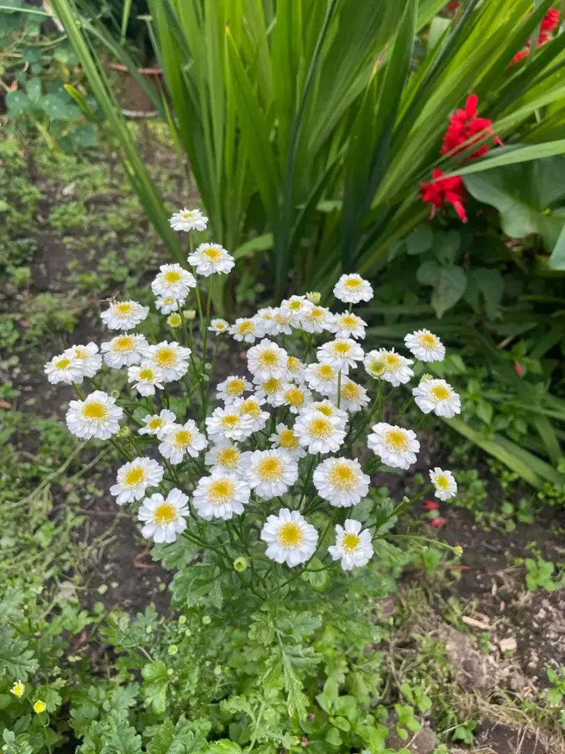 "Сын принес теплый халат. Чтобы я не сдох. Иначе ему деньги неоткуда будет брать": почему пенсионеры держатся за работу