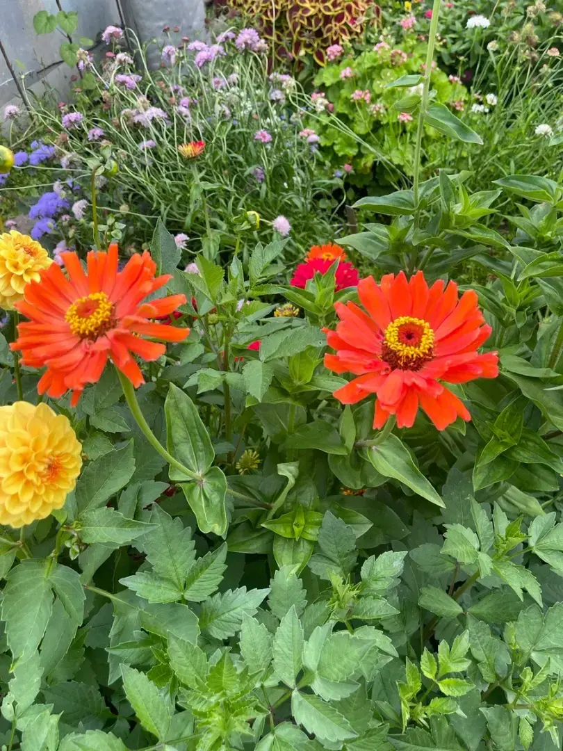 Сидит на бесконечных больничных и уже не получает за них деньги, но не увольняется: почему на работе обесценивают женщин, имеющих детей