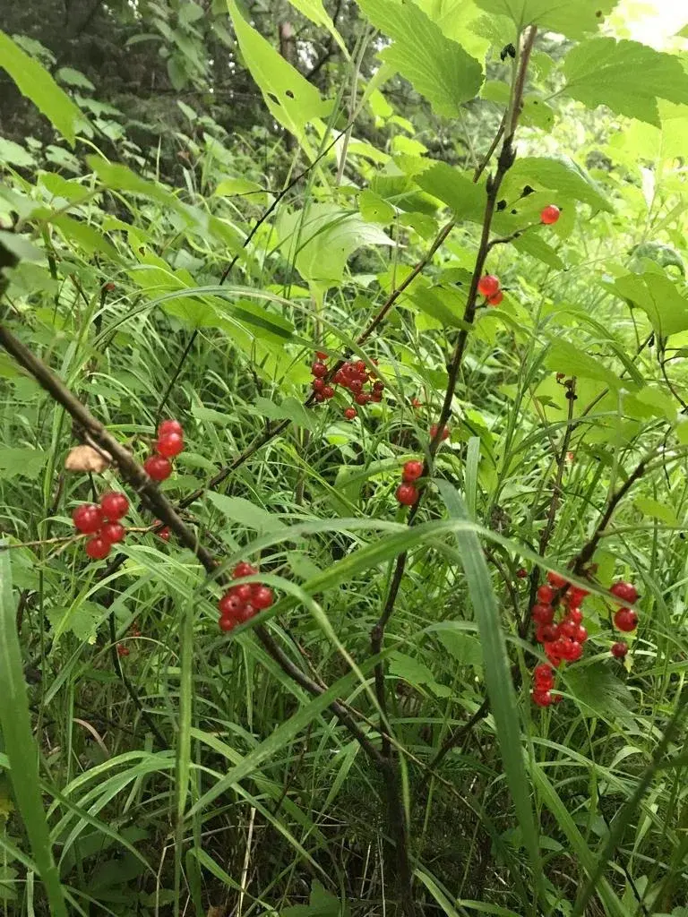 Подала на алименты, хотя живет вместе с отцом ребенка. Оказалось, что лавочку прикрыли, и афера не пройдет