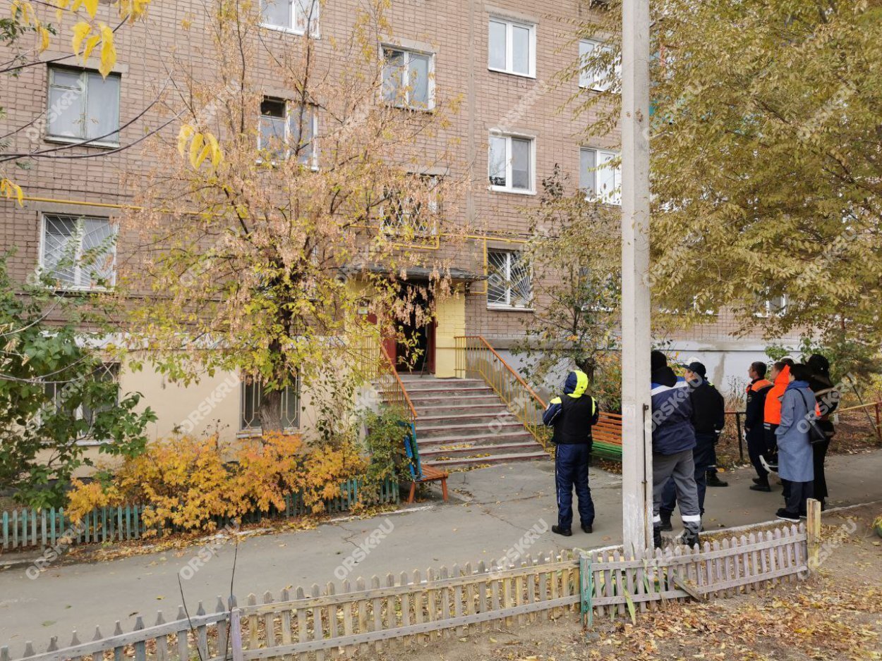 Бабушка террористка.