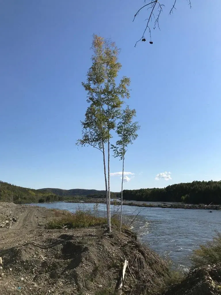 Украла деньги из Пенсионного фонда: как мама ребенка-инвалида стала должником, хотя просто получала пособие