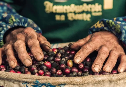 Как китайцы относятся к кофе и пьют ли его вообще в Китае?