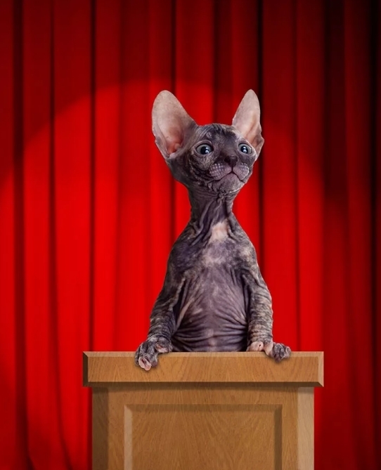 Всем ли подвластно ораторское искусство: как научиться красиво говорить