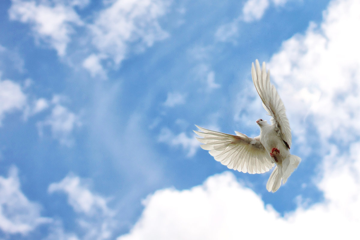 Нужен ли миру мир ???