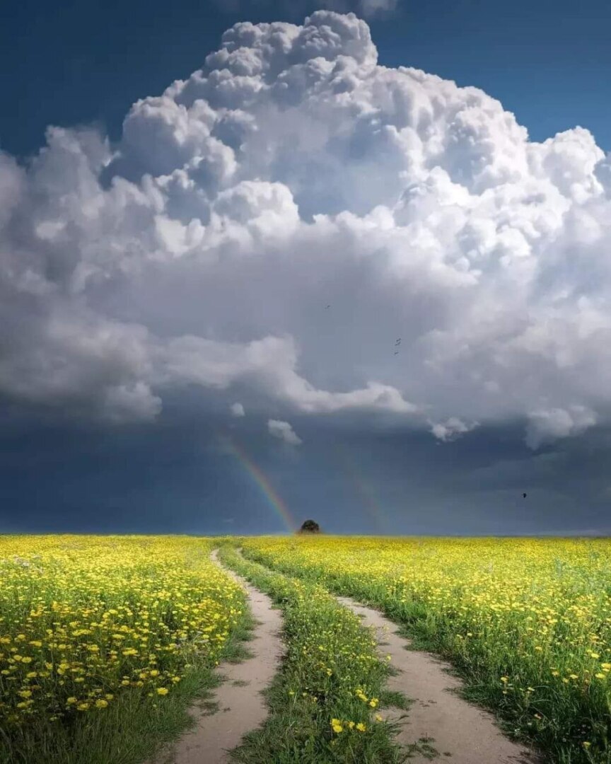 Думаю и записываю мысли (часть третья)