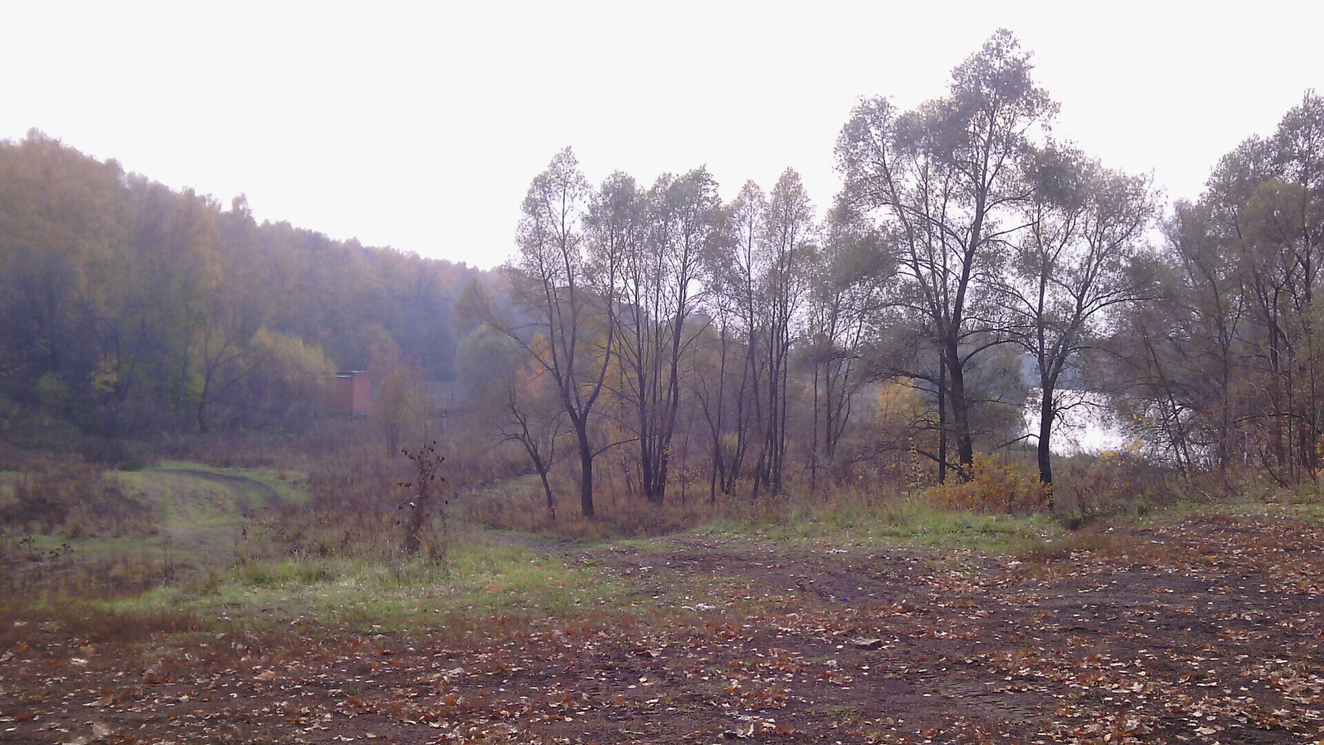 Осенняя прогулка у реки Пахра в Подмосковье