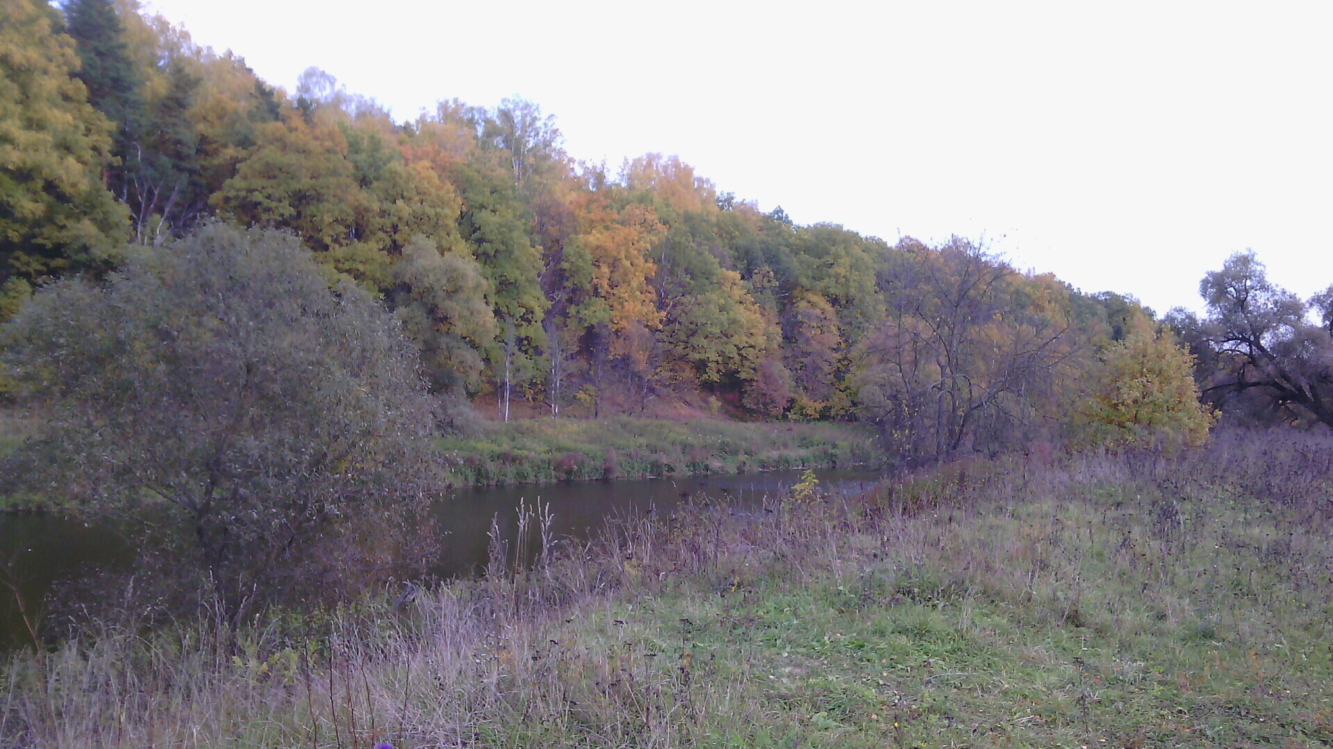 Осенняя прогулка у реки Пахра в Подмосковье