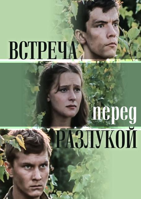 ЗАБЫТЫЕ ФИЛЬМЫ. Встреча перед разлукой (1985).