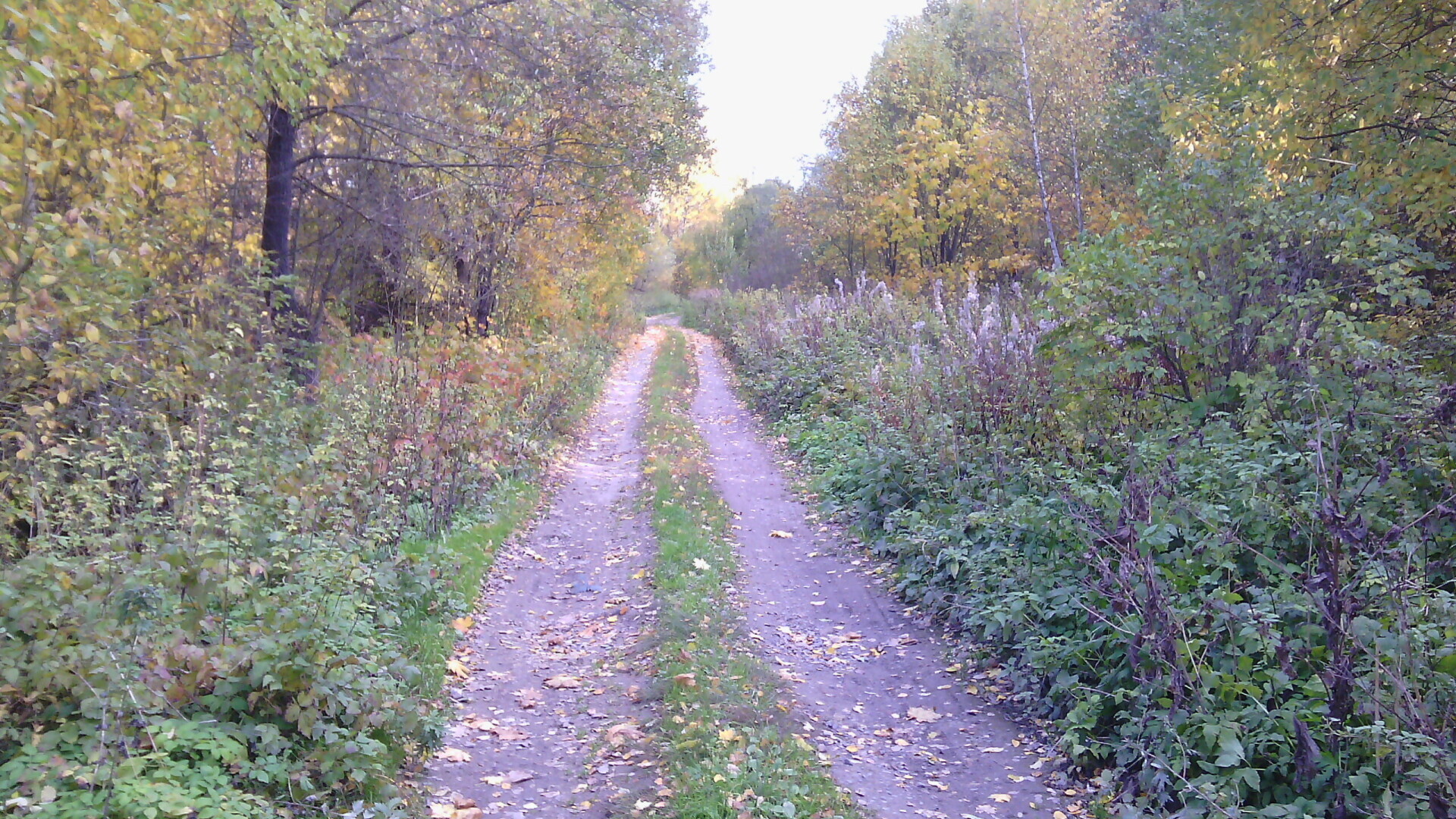 Осенняя прогулка у реки Пахра в Подмосковье