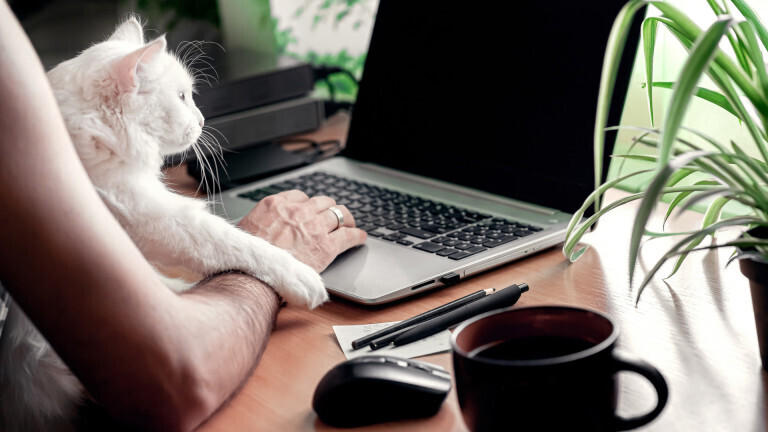 Не паникуйте: что делать, если вы пролили воду на ноутбук