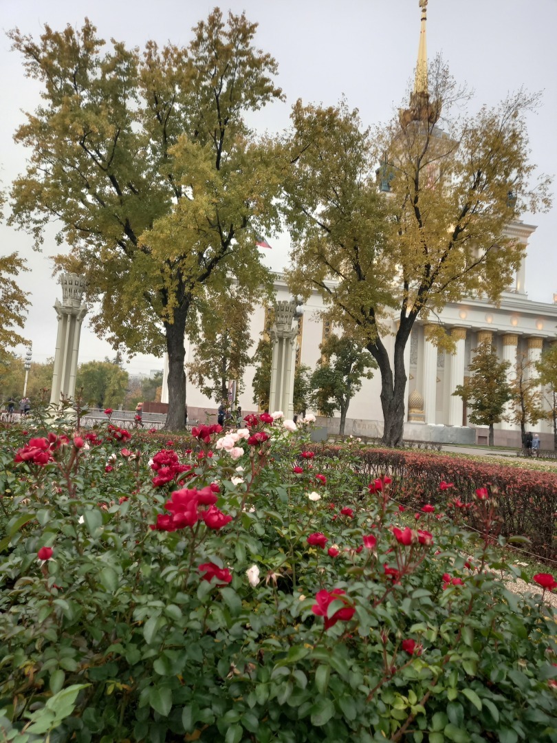 Война и Геродот: как это связалось с гостиницей "Космос"