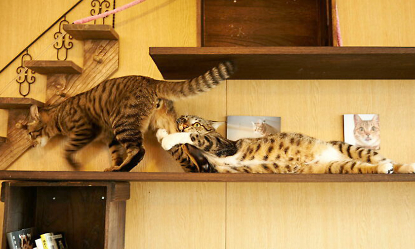 Как оставаться востребованным на рынке труда в любое время