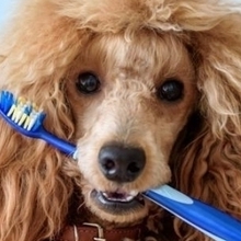 Sergey, г. Москва