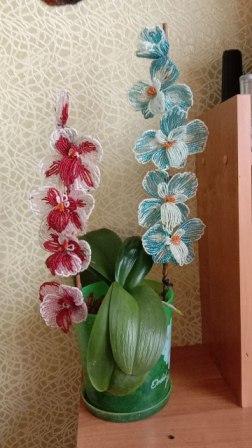 А у вас есть хобби?