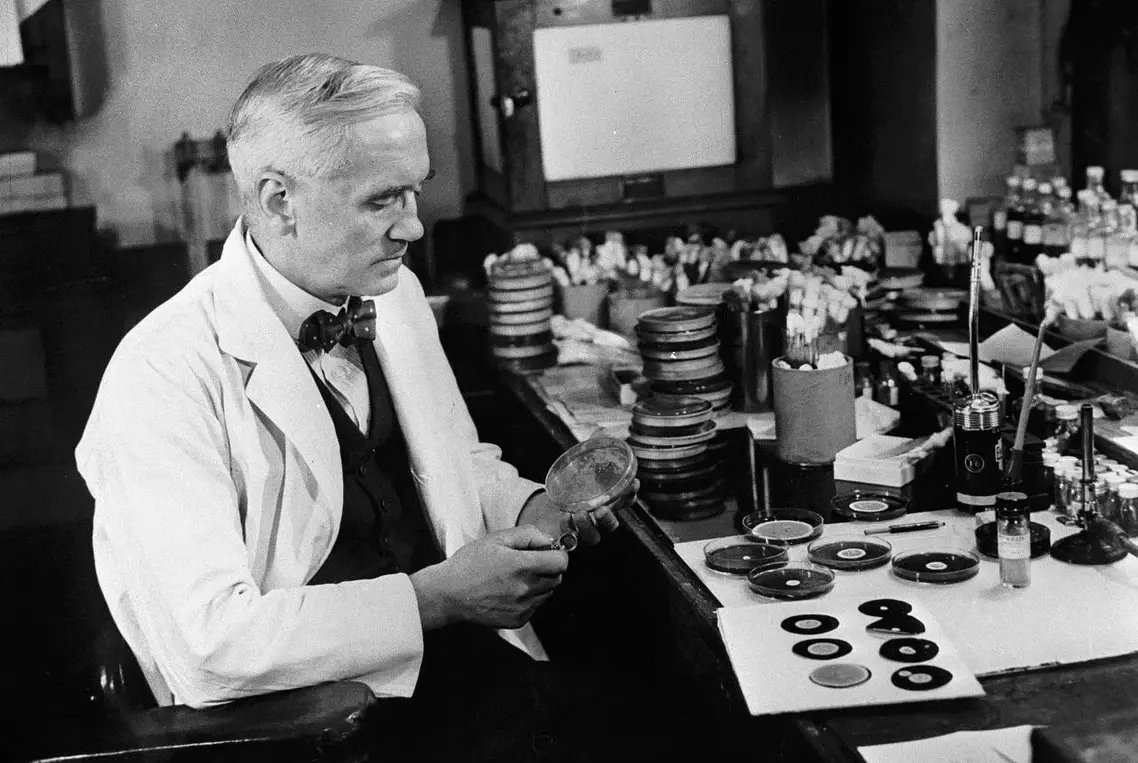 Забыл помыть посуду и открыл пенициллин