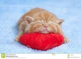 Родная душа всегда где-то рядом