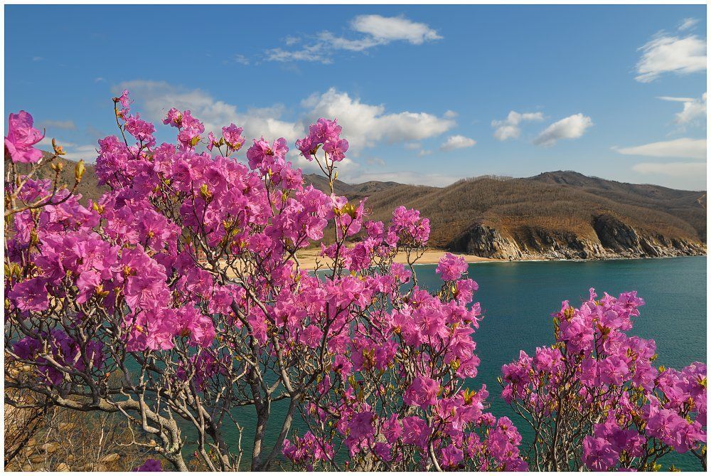 Дальневосточные красоты забыть невозможно.