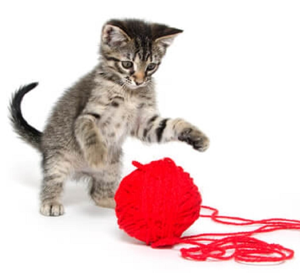 Осенняя находка.